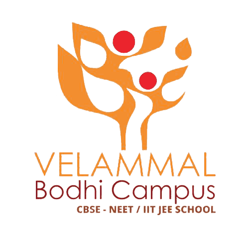Valued school logo 17